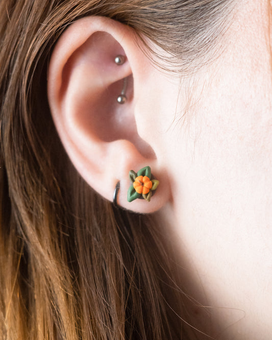 Pumpkin studs